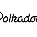 폴카닷(Polkadot)코인 2021년 주목할 인터체인 플랫폼