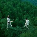 [영화 리뷰] 와호장룡 'BBC 선정 위대한 영화 35위'
