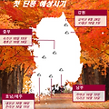 2018년 주요산 첫단풍시기와 절정시기