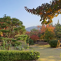 시간의 흐름이 가을을 보내고 있다.