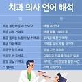 치과의사 언어 해석
