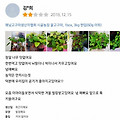 꿀고구마 구매 후기
