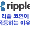리플(Ripple) 코인 가격 전망 파해치기