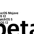 새로운 macOS Mojave 10.14, iOS 12, watchOS 5 - macOS Mojave 베타 다운로드