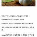 마늘의 위엄