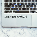 Select Box 알아 보기