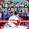 평창 여자 아이스하키 남북 단일팀 구성에 합의 찬반공방 치열