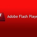 Adobe Flash Player 신규 취약점 주의 권고