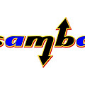 Samba 취약점 보안 업데이트 권고