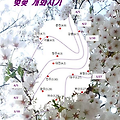 2019년 벚꽃 개화시기, 만개시기 명소 벚꽃축제 일정 정리