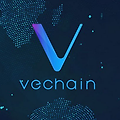 비체인(Vechain) 중국 최대 전기차 BYD 파트너십