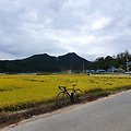 2020.10.10 종합운동장 - 수곡리 - 성류굴