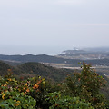 청대산에 올라 마음대로 찍어 본 풍경