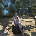 [FFXIV] 탐험수첩 11번