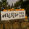 제주도 감성 카페-어린 왕자 감귤밭, 감귤 체험과 동물체험이 가능한 서귀포 감성 카페