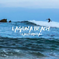 요즘은 LA비치보다 라구나비치가 핫플!