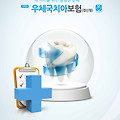 무배당우체국치아보험