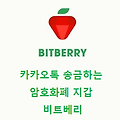 비트베리(BITBERRY) - 카카오톡 암호화폐 지갑