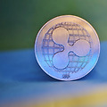리플(XRP)코인이 360원에서 155원으로 급락한 이유
