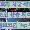암호화폐 시장 폭락 후 비트코인 상승 뛰어넘을 알트코인 4