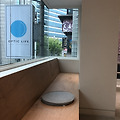 온라인에서 안경을 구입 했다면 홍대 옵틱라이프 OPTIC LIFE 에서 렌즈와 피팅을 자유롭게