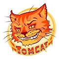 Tomcat 실행 오류 (Eclipse, STS)