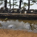 [영상]죽도 여행 중...