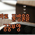 음파로 물방울을 공중부양 시키는 장식품 - LeviZen