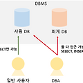 [WorkBench] MySQL 워크벤치로 사용자 계정 및 권한 관리하기
