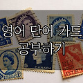 영어 단어 카드로 간단하게 공부하기