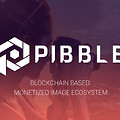 SNS 플랫폼 피블(PIB) 업비트 빗썸 상장 조준