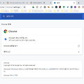 크롬 브라우저 69 버전 업데이트 되었네요.