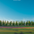 경산 영남대학교 여름 풍경 니콘 D810 니코르 2470vr 200500vr