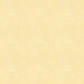 [재질Texture] 라임스톤