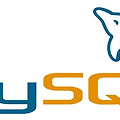 MySQL 윈도우 ROOT 패스워드 분실시