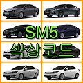르노삼성 SM5 색상 코드(컬러코드) 확인과 8가지 자동차 붓펜(카페인트) 구매하는 법