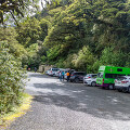 뉴질랜드 자동차 여행 #15 - 밀포드사운드 키서밋 트레일 하이킹 / 루트번트랙