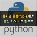 [Python] 문자열 튜플(tuple) 내 특정 단어 빈도 카운트