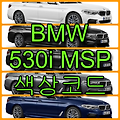 BMW 530i msp 색상코드(컬러코드) 확인하고 붓펜 구매하는 법