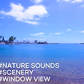 [바다풍경영상] 하와이 프린스 와이키키 호텔 앞 알라와이 보트 항구 - 자연풍경영상, 창문풍경영상, 힐링영상, 마음소풍