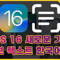 iOS 16 새로운 기능, 라이브 텍스트 한국어 지원과 단위 환산 기능