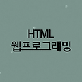 HTML 주석 및 텍스트 표현