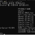 [docker] 윈도우 OS WSL2 에 우분투, docker 설치