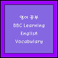 BBC Learning English 1일차 Vocabulary "Do you have eco-anxiety?"
