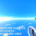 [비행기창문풍경] 호놀룰루 공항에서 빅아일랜드 코나공항으로 가는 비행기 여행 - 활주로 이동 부터 비행기 이륙, 착륙까지 1시간🕊️ 마음소풍