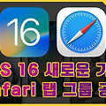 iOS 16 새로운 기능, Safari 탭 그룹 공유