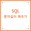 SQL  LPAD / RPAD / REPLICATE  -  문자길이 채우기