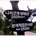 비시즌 함평나비 축제장(함평엑스포공원)