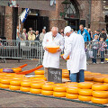 [네덜란드 #045] 노란색 치즈가 가득한 치즈시장, 알크마르(Alkmaar)