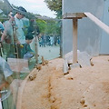 울산 당일치기 여행으로 가볼만한 곳 : 울산 대공원 동물원